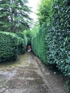Hedge Trimming