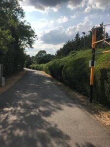 Hedge Trimming