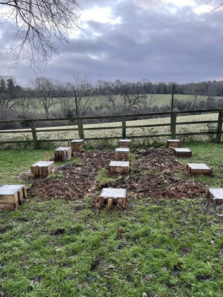PMD Gardening 2025